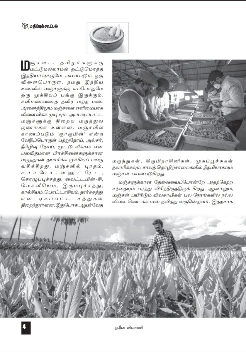 NaveenaVivasayi's tweet photo. மஞ்சள் என்னும் மாமருந்து:
மதிப்புக்கூட்டும் மந்திரத்தை தெரிஞ்சுக்கோங்க!!!
#vivasayam #vivasayi #naveenavivasayam #naveena #farmers #turmeric #tecnology #techagri #techagriculture #medicine #turmericbenefits #foodmedicine #farmer #farmerlife #techfarm #techfarming #medicine https://t.co/MJYTkXhcg2