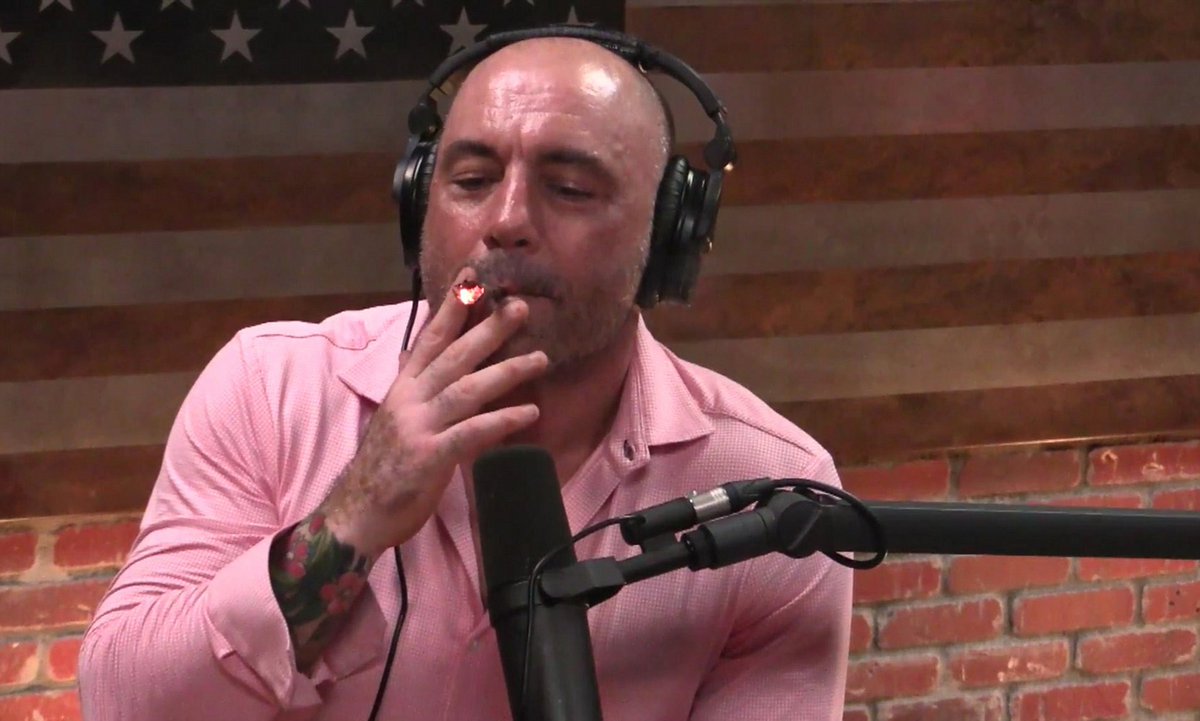 "People say you can abuse 🌿. Well, sh*t, you can abuse cheeseburgers too, you know? You don’t go around closing Burger King because you can abuse something." - <a href="/joerogan/">Joe Rogan</a>