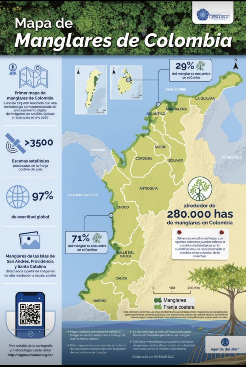Aquí el mapa de manglares 🌳🗺️📍🇨🇴

Primer mapa de manglares de Colombia a escala 1:25.000 realizado con una metodología sistematizada de procesamiento digital de imágenes de satélite, ópticas y radar para el año 2020. 
Acá en este link agendadelmar.com/mapa-de-mangla…

<a href="/invemarcolombia/">INVEMAR</a>