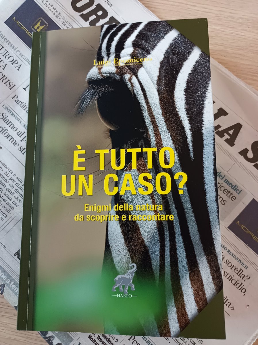 Luigi Epomiceno tweet media