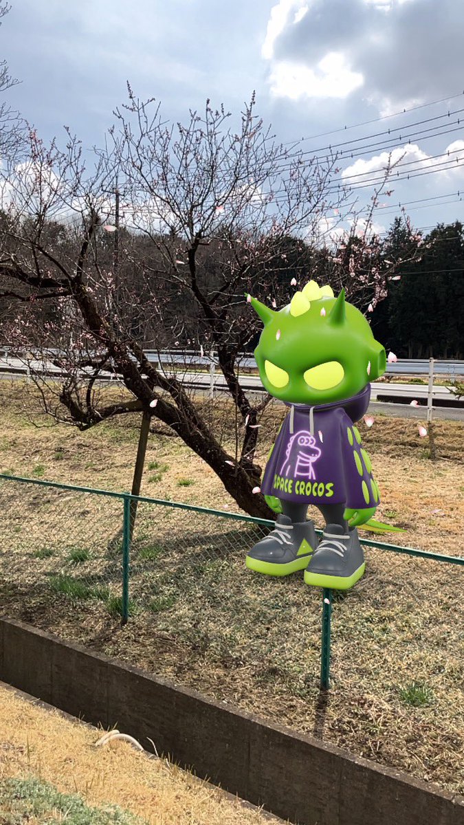 VWbugOwner's tweet photo. #OnimaruAR
梅の木の横で
桜を携えて…ワニ🐊
Beside a plum tree
With cherry blossoms...crocodile🐊. https://t.co/MnCSdXFw2R