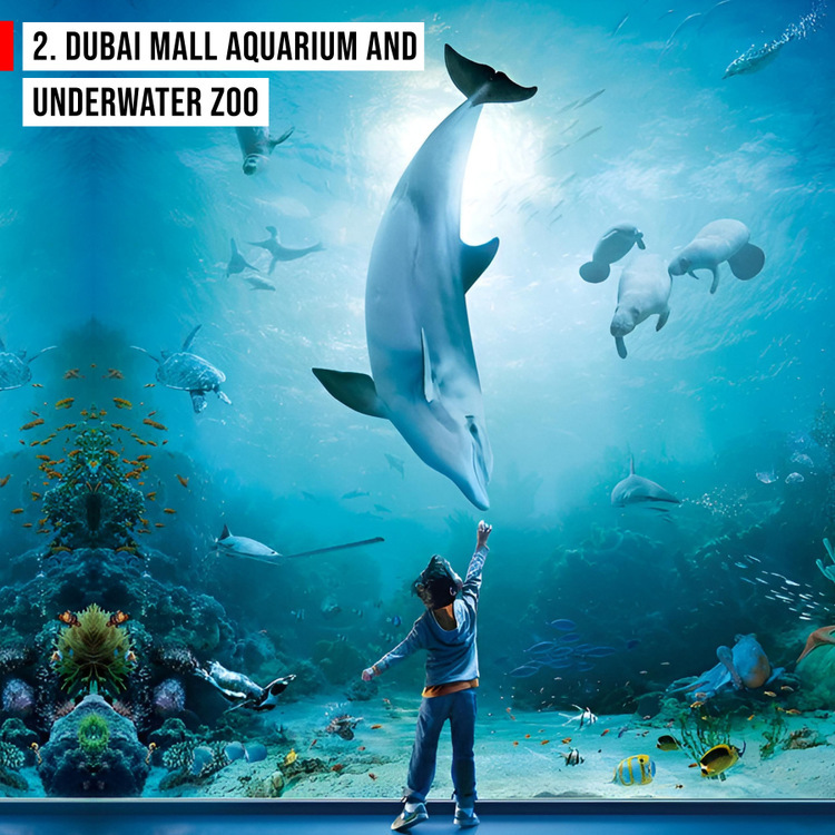 Forever Tourism on Twitter "activitiesinside dubaimall 2023 😍 🌐https