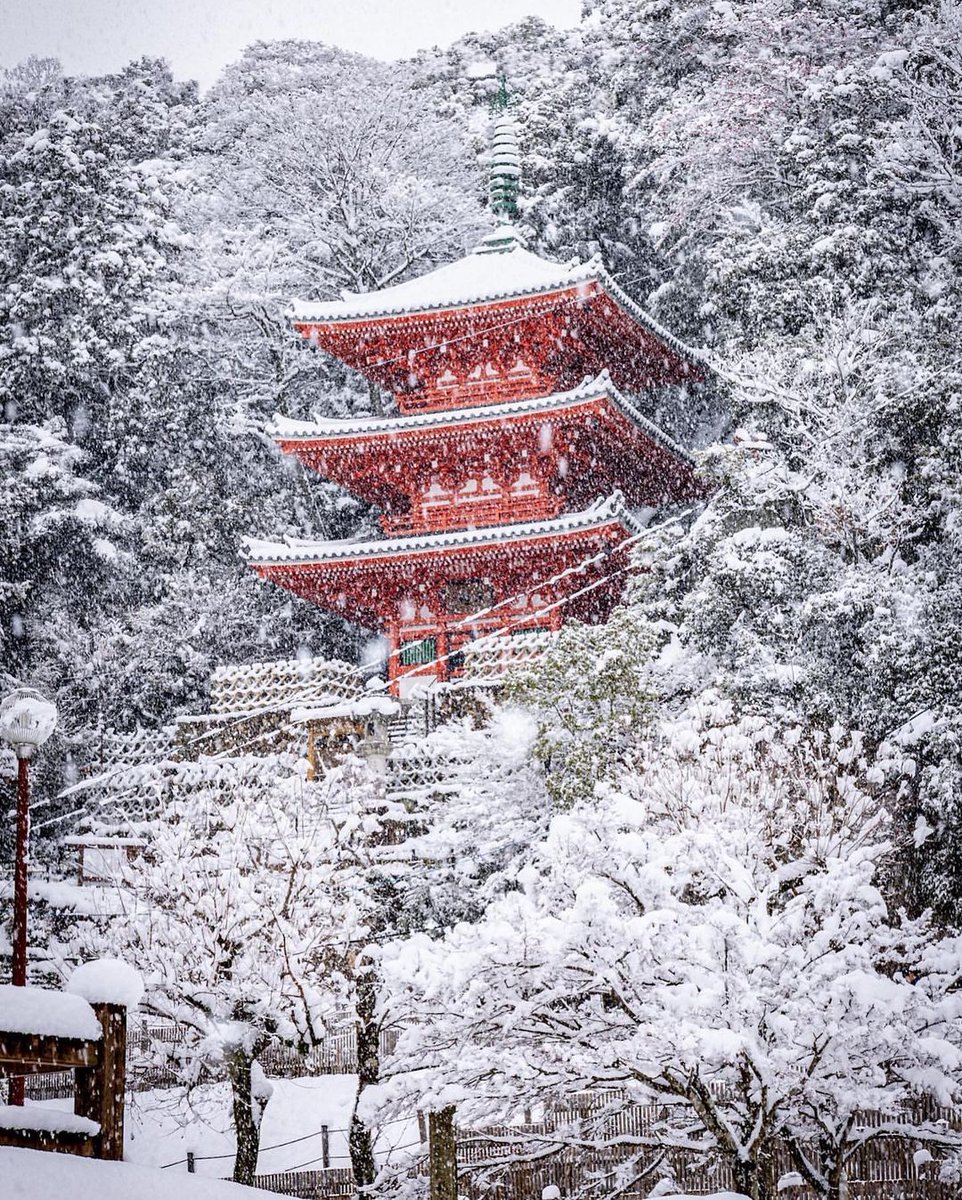 ratihputri2001's tweet photo. 岐阜市の金華山山麓にある都市公園。
華山の大自然に包まれた園内には、信長庭園をはじめ、岐阜市歴史博物館など多くの施設が並んでいます
木々の緑の中に朱色がひときわ鮮やかに映える三重塔も美し��ですが、真っ白な銀世界に包まれる三重塔も朱色が美しく映えてくれます✨

📍#岐阜公園 / #岐阜県 https://t.co/xobTDfJk2T