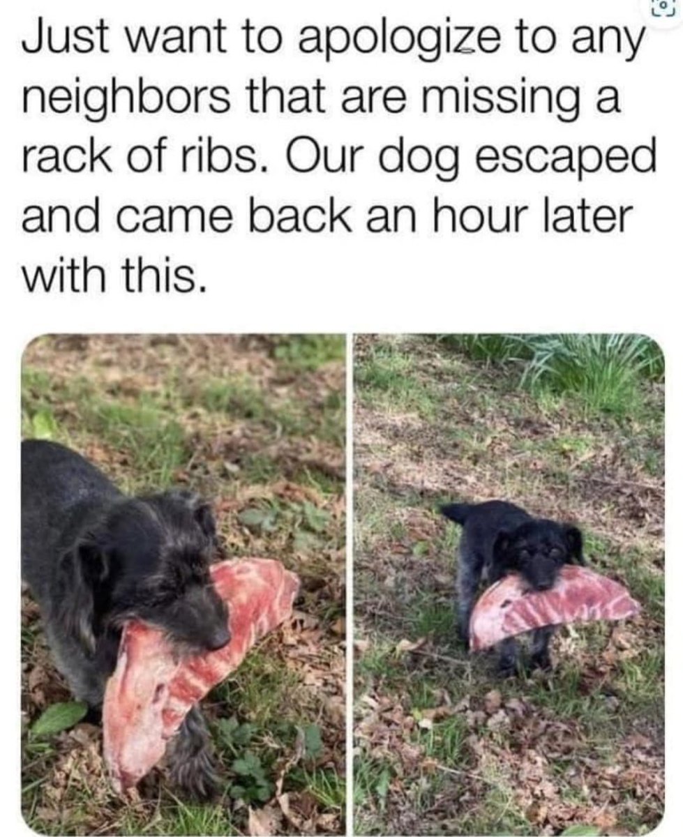 WholesomeMeme's tweet photo. https://t.co/7YkDZCa96J