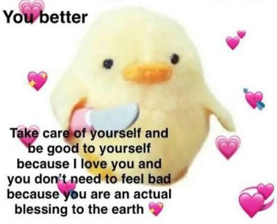 WholesomeMeme's tweet photo. https://t.co/I5QLcJsi4m