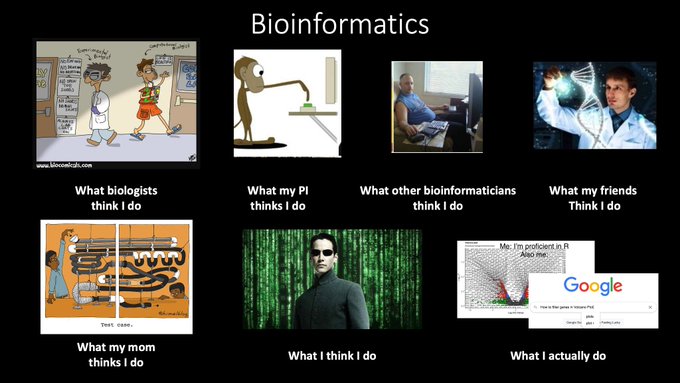 Integrating Molecular Biology and Bioinformatics Education https://doi.org/10.1515/jib-2019-0005