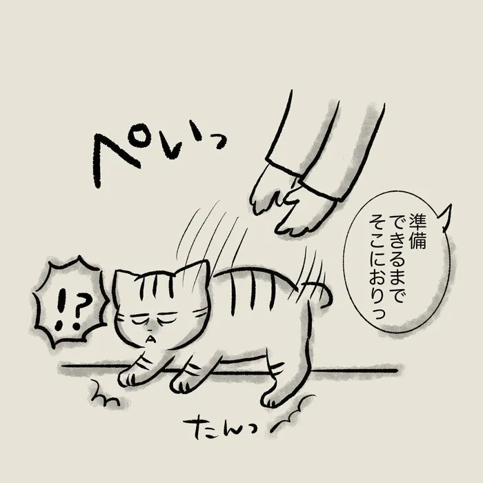 猫からのご飯の催促が激しすぎるので、少し離れて待機してもらった結果【連載】交通事故にあった猫を拾いました#105|ねこのきもちWEB MAGAZINE https://t.co/5259jMhn3y