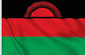 Hope Ruswa tweet media