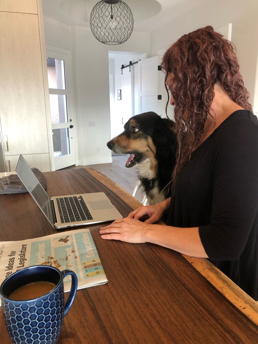 Dana Berggren tweet media