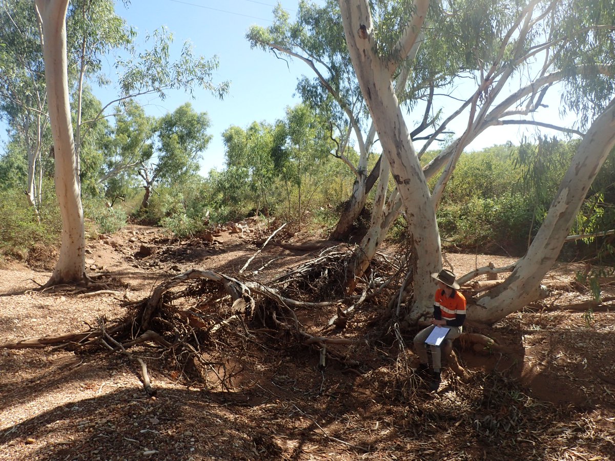 SETAC Australasia (@setac_au) on Twitter photo Compare the pair...
#Ecotox sampling can look very different depending on how much water is around!
Like what you see? Vote for these photos (among others!) in our photocomp👉australasia.setac.org/notice/inaugur…
📸Pulasthi Serasinghe (L) Sarah McDonald (R) Compare the pair...
#Ecotox sampling can look very different depending on how much water is around!
Like what you see? Vote for these photos (among others!) in our photocomp👉australasia.setac.org/notice/inaugur…
📸Pulasthi Serasinghe (L) Sarah McDonald (R)