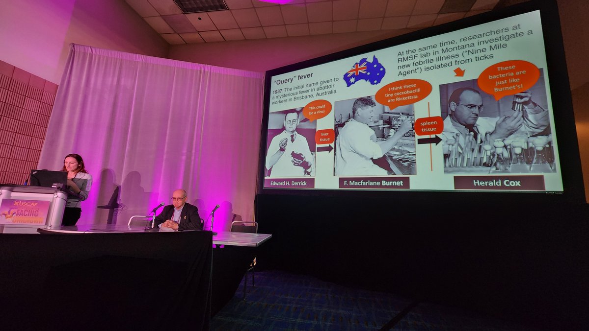 FuzzFree's tweet image. @AndreMo77438628
 moderated our very interesting (albeit skin-crawly at times 🤣) session of #IDpath in surgical #pathology at #USCAP2023 . Thanks to those who came! Looking forward to next year's session!

@NYUGSOM_Path @nyulangone