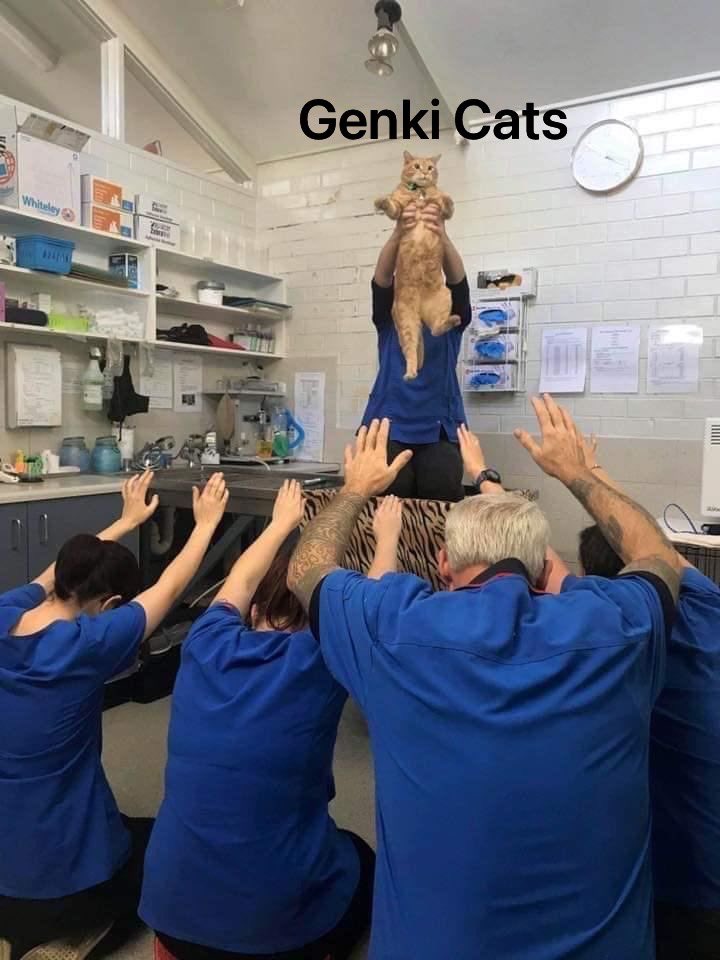 Seventeen tweet media