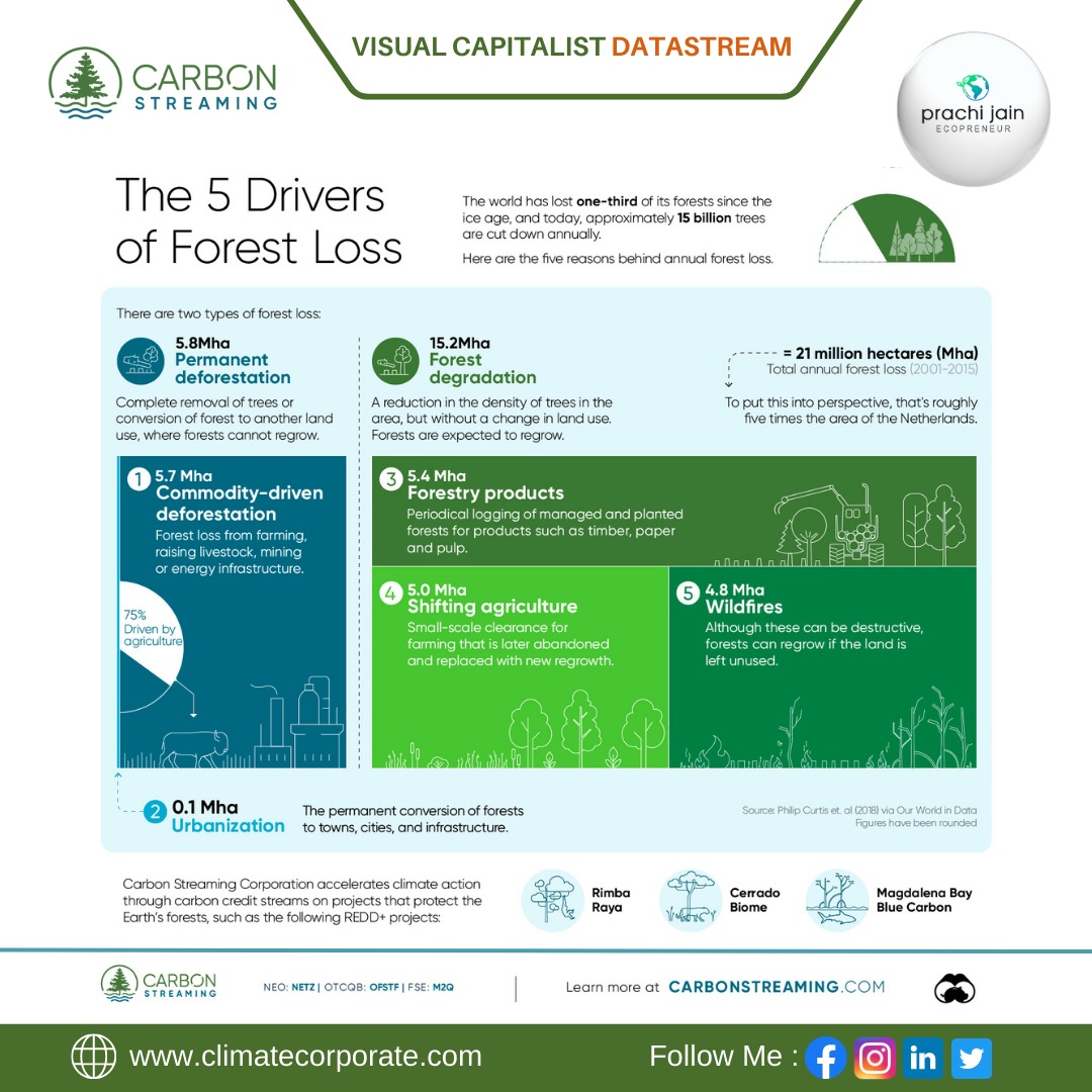 The world has lost one-third of its forests since the ice age, and today, approximately 15 billion trees are cut down annually.
linkedin.com/posts/prachi-j…
#savecrystalspringforest #together4forests #climatechange #carbonstreaming #saveforest #climateandcorporate #earthquake