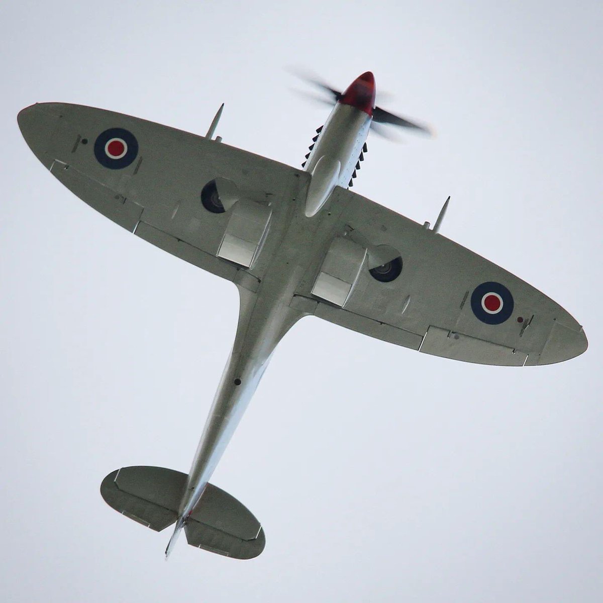 Spitfire