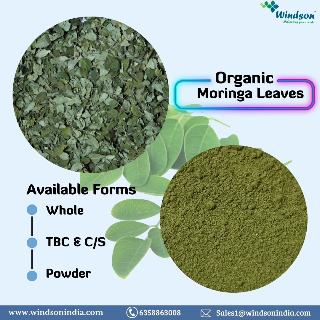 windsonindia's tweet photo. Take the benefits of antioxidant rich Moringa Leaves.
Organic Moringa leaves is now available with NOP/NPOP certificate. 
Kindly contact us, regarding more details.

#windsonindia #ORGANICproduct #moringaleaves https://t.co/gNa80Maygy