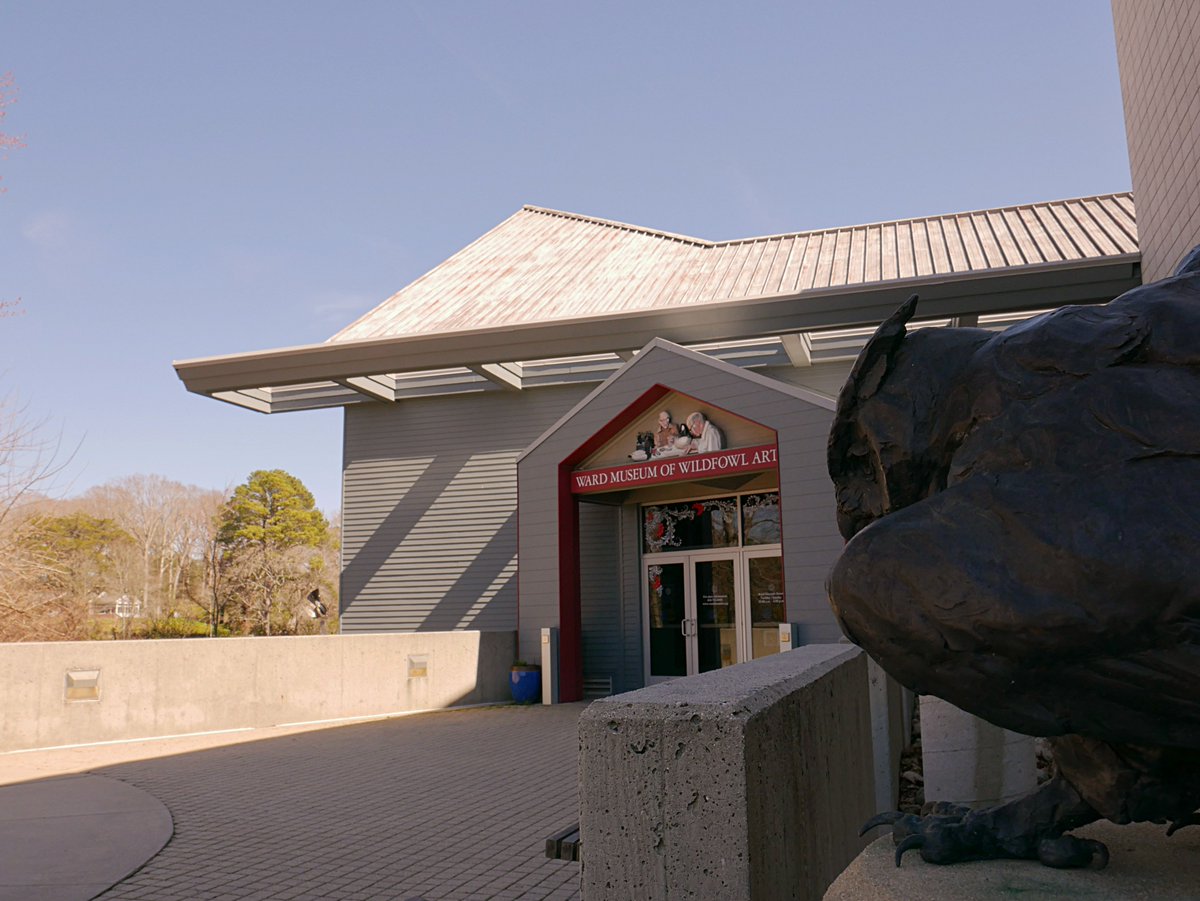 The Flyer tweet media