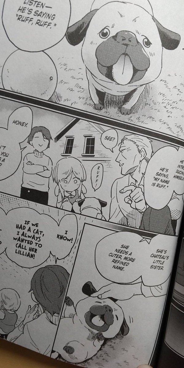 英語版11巻頂きました! DOOD WORK INDIAN GUY・・・ 