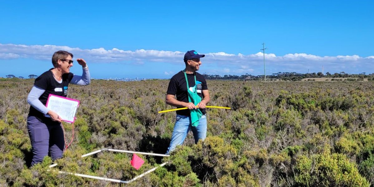 The Geelong Port #BlueCarbonArmy is getting ready for fieldwork next week! If you want to join an adventurous team of citizen scientists while learning more about coastal wetlands, register @ engage.geelongport.com.au/geelongport-ci…

<a href="/mdm_palacios/">Maria Palacios</a> <a href="/PaulECarnell/">Paul Carnell</a> <a href="/dr_snorkel/">Dr Jacqui Pocklington</a>