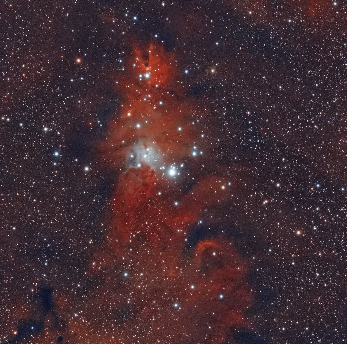 PeterThelen3's tweet photo. NGC 2264

15 x 600 sec.  Gain 100 ( -10˚C)
ASI533MC Pro
ASIAIR
EQM-35 Pro
SIRIL, PS CC https://t.co/hti5i3VwJf