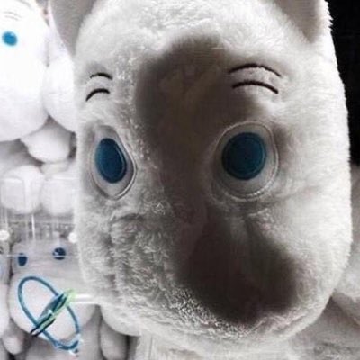 번영 tweet media