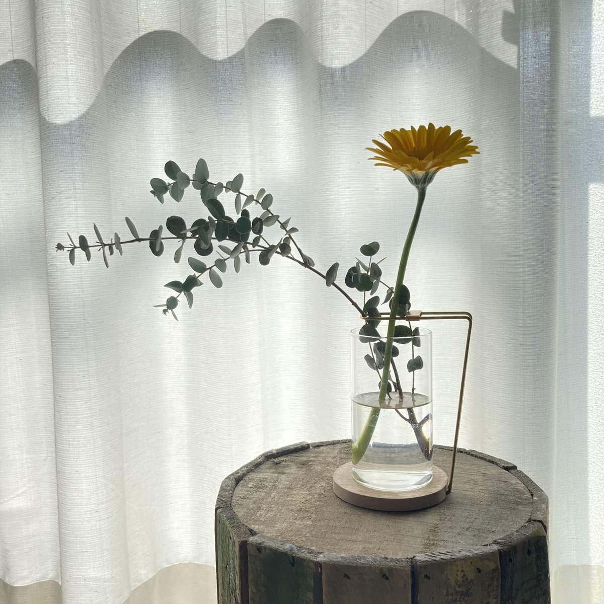 sablier_sable's tweet photo. 渡辺平日さん @wtnbhijt の FLOWER BASE とヴィジョングラスの組み合わせがいまのお気に入り。
茎の長い植物をのびのびありのままに活けられるのがうれしい。
#渡辺平日 https://t.co/33N7cHfd66