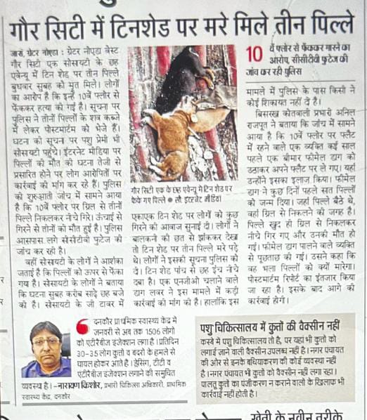 कावेरी राणा 🐾🐾 tweet media