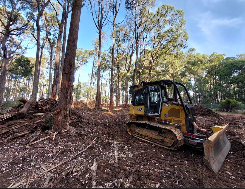 vnpatweets's tweet photo. Its unclear if @MelbourneWater  surveyed for threatened species such as Greater Glider and Broad Toothed Rat that are in the area prior to starting salvage logging with the few remaining hollow bearing trees in the catchment likely to perish in post logging burns  4/5 https://t.co/Sz40uoVZDk