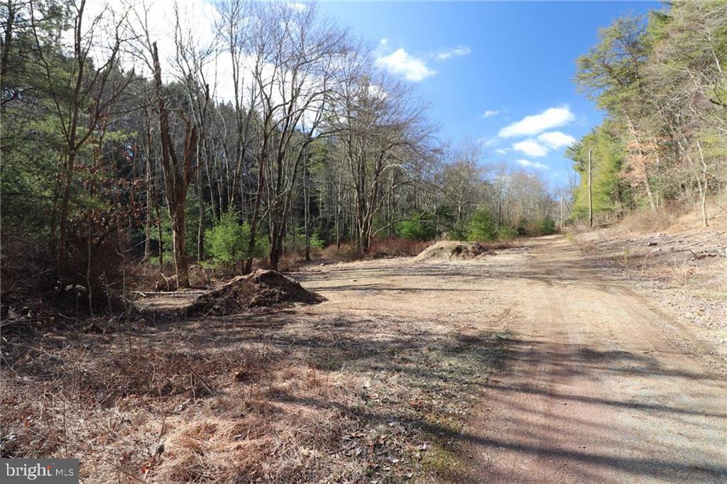CassChies's tweet photo. New Listing! $92,500.00, 0BR, 0BA, 0 W BOWMANS RD, Lehighton, PA 18235, Full Details https://t.co/3MbjV8oJJ6 https://t.co/lAwErk9l44