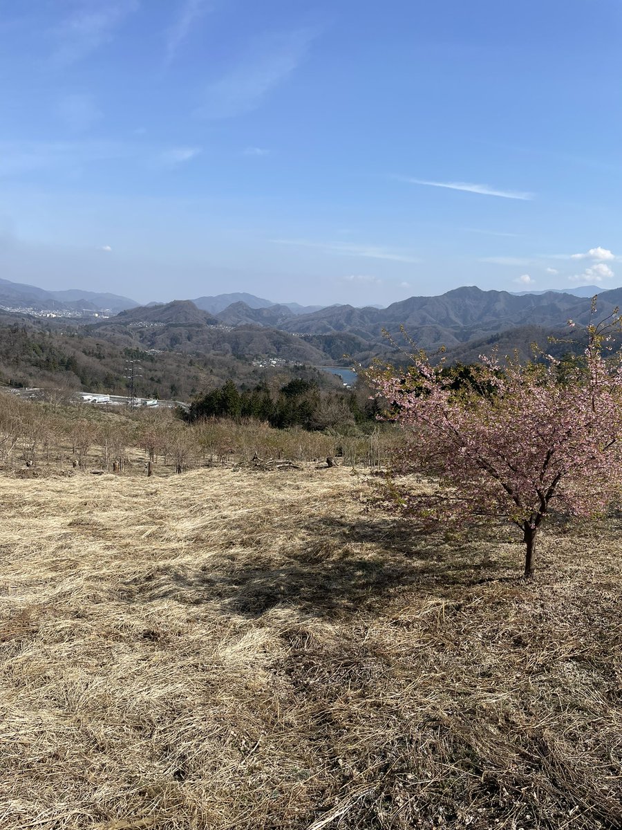 WalkHacker's tweet photo. 新道を行ってらくしようと思ったのに旧道を選んでしまい峠を上がるなう https://t.co/cH44q2TKi4