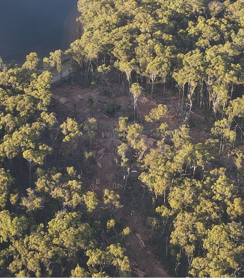Melbourne Water must cease the clearing and logging of habitat in the Silvan Closed water catchment and engage ecological restoration experts in the rehabilitation of these sites not log them further.
We need greater oversight and regulation of Fire operations in Victoria 
 5/5