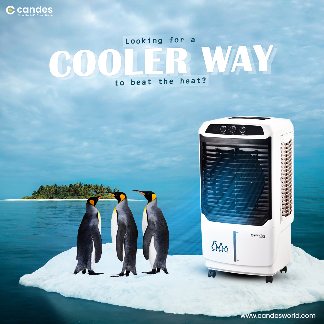 Candes World tweet media