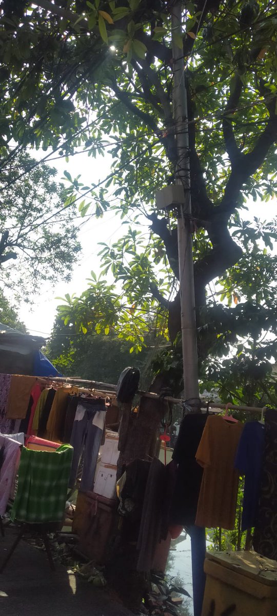 jamilah767's tweet photo. @pln_123 tolong kepada petugas...mohon segera di tl..tiang listrikmw rubuh takut kena warga sekitar jln kali bang lio rt 3 rw 01 kelurahan kalibaru kecamatan cilincing jakarta utara....@CRM @BinaMargaDKI @SatpolPP_DKI @infoPLN @dprddkijakarta @BPBDJakarta https://t.co/qk5Del4zEA