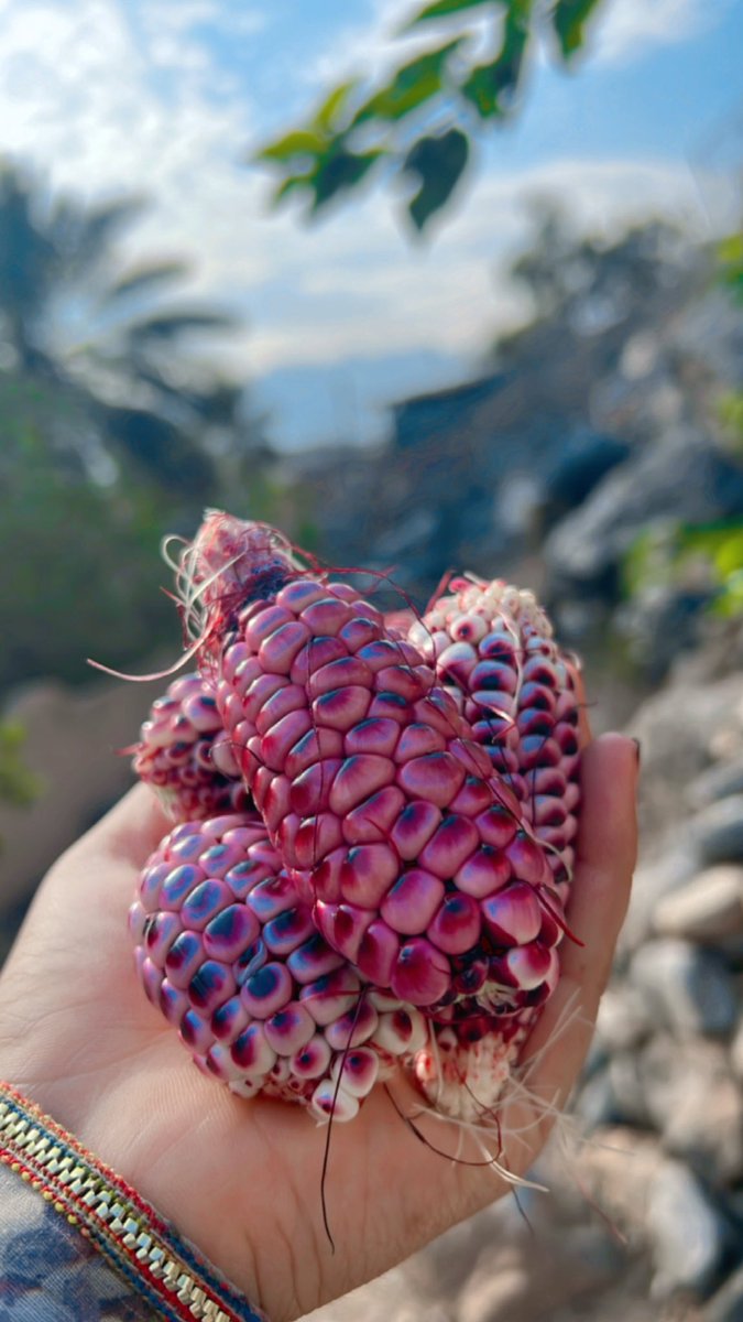 نحن لم نخلق عبثًا ، كل شخص وله أهميه في هذي الحياة … فلا تيأسوا.