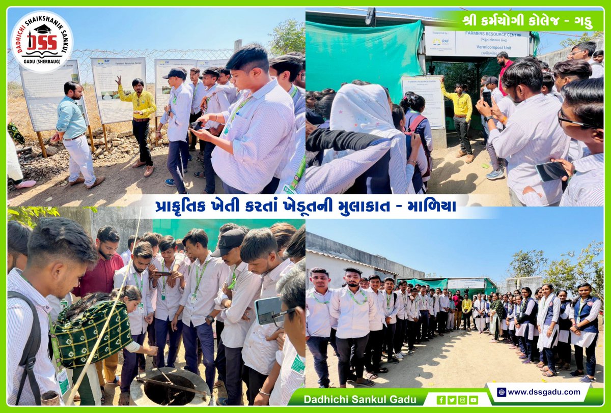 dadhichisankul's tweet photo. 👉 પ્રાકૃતિક ખેતી કરતાં ખેડૂતની મુલાકાત - માળિયા https://t.co/Qb08dwe1v5