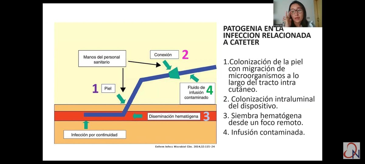 Sociedad Valenciana de Nefrología tweet media