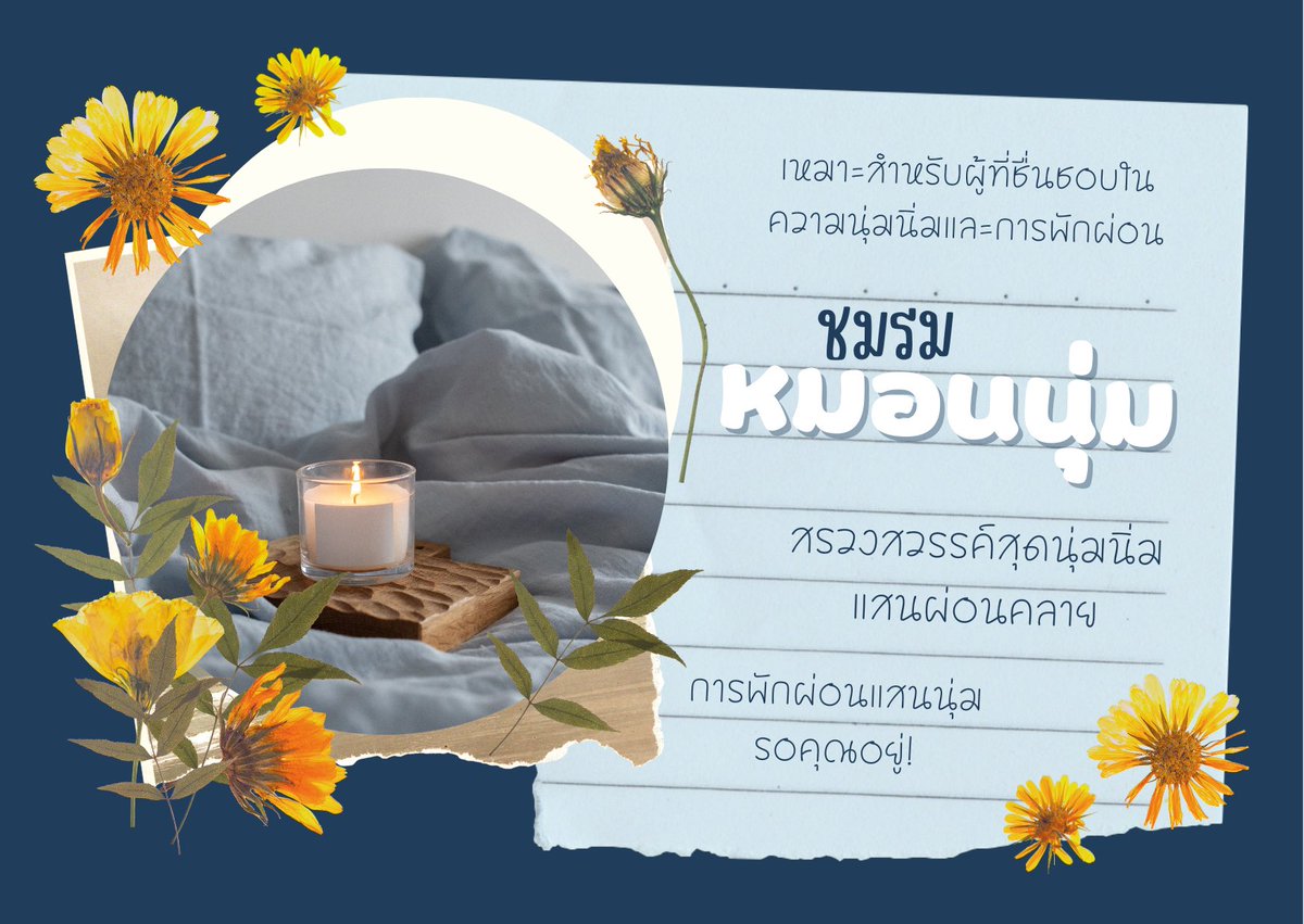 Nila_AZV 🐈⬛ tweet media
