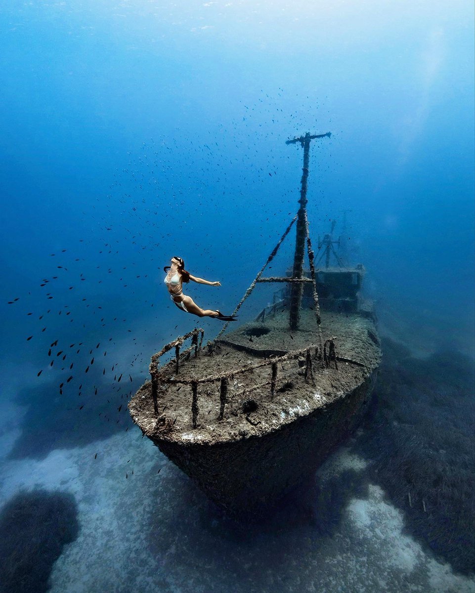 deeperblue's tweet photo. Rising above Nemesis.

@alex_dawson_photography

#deeperbluephoto #freediving #freedivers #underwaterphotography #uwphoto #oceans #epic #diving #apnea #freedivingphotography #explore #underwater #underwaterworld #freedive #dive #divinglife #fish #freediver #freediverlife https://t.co/KgXi8E4hPY
