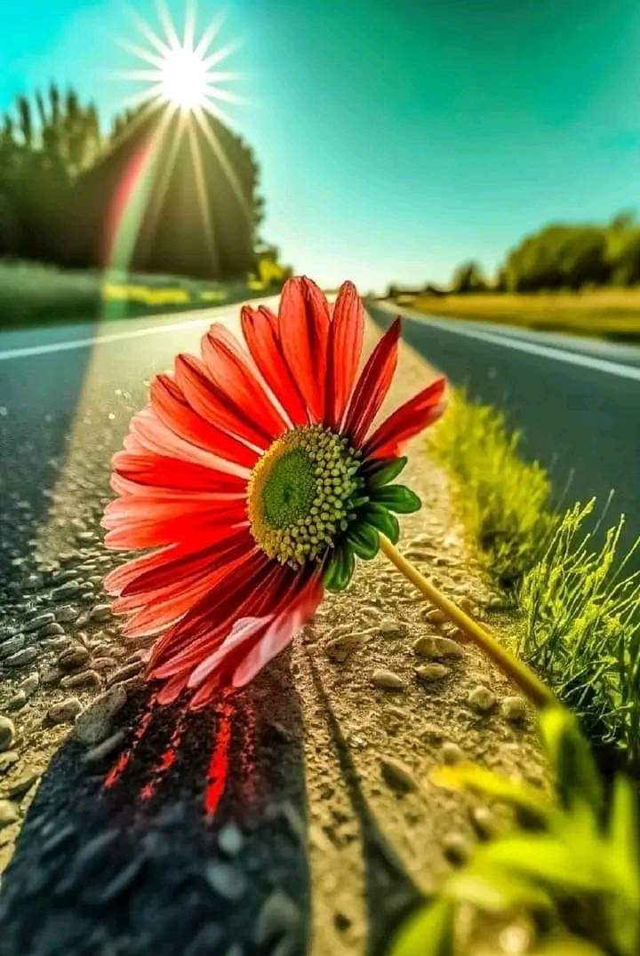 اَلسَلامُ عَلَيْكُم وَرَحْمَةُ اَللهِ وَبَرَكاتُهُ❤️❤️
শুভ সকাল প্রিয় বাংলাদেশ।🇧🇩❤️
কেমন আছেন সবাই?
#আলহামদুলিল্লাহ 😇