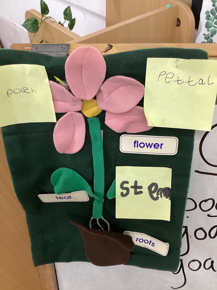 We have had a busy week planting flowers to attract butterflies to our garden. We learnt about the plants and how to care for them #understandingtheworld #jessjumscience #eytalking