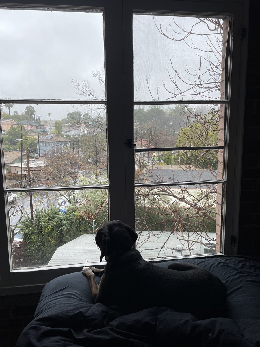 HopeNichols69's tweet photo. Just a girl and her window https://t.co/KvvxGFdkim