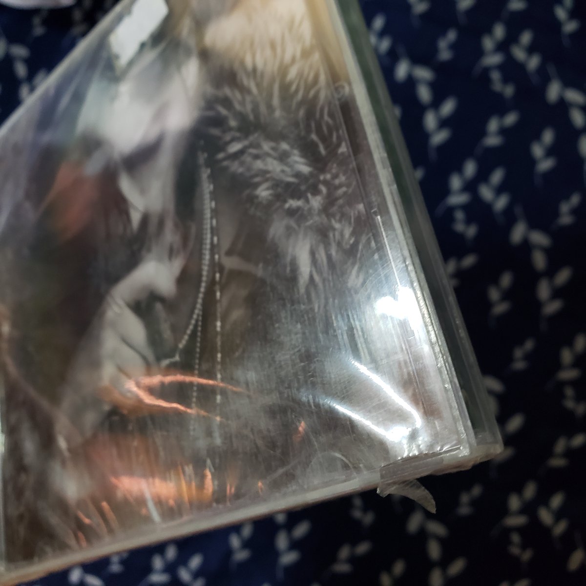 RevistasCDsYMas's tweet photo. #Maluma CD #FAME
Nuevo y Sellado
🇲🇽 CÓMPRALO AQUÍ 👉
https://t.co/oHT5euwvcN
🌎 O AQUÍ 👉
https://t.co/THv6Gdq7LI
#Corazón #ElPréstamo #CuentaASaldo #Hangover #MiDeclaración #HowILikeIt #Marinero #Delincuente #Condena #OjosQueNoVen #LaEx #JasonDerulo #Unfollow #FelicesLos4 https://t.co/rKjiNVlBot