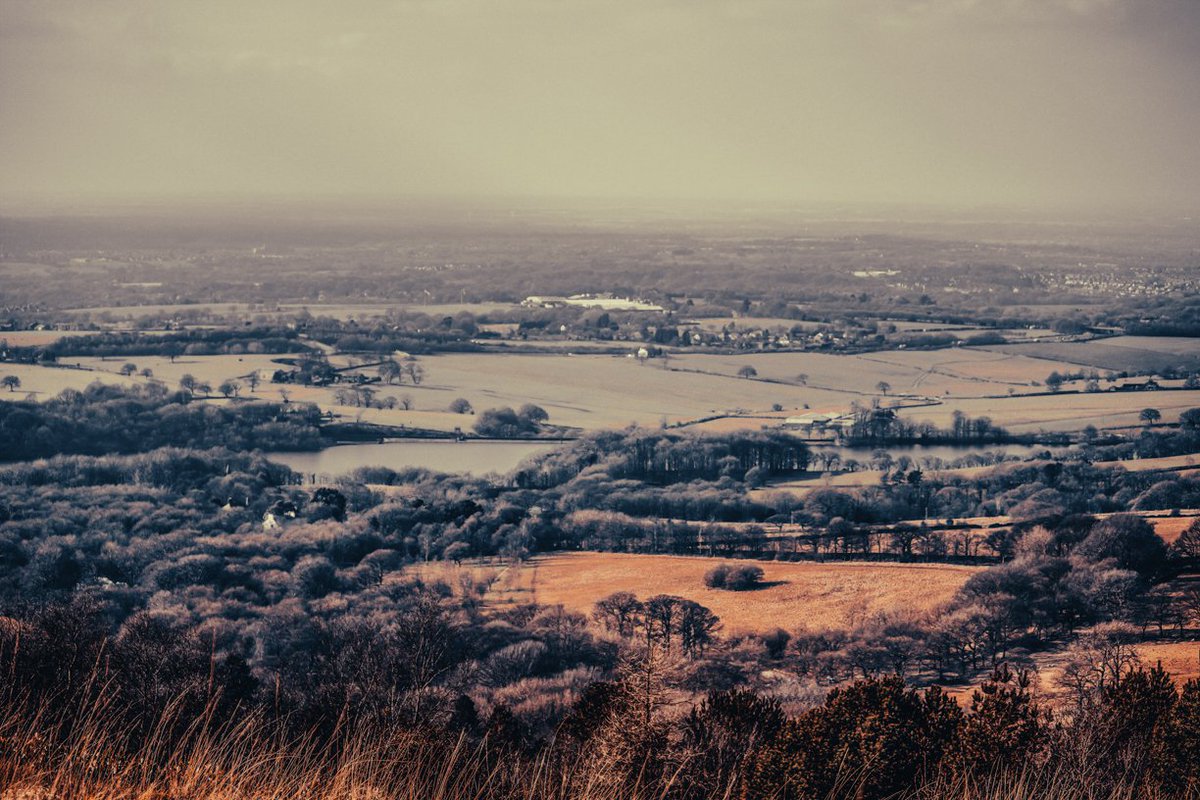 Monographicalx's tweet photo. It sits high up on the edges of the East Lancashire moors and it can be a cold and harsh place at times, earning its name Winter Hill.

for this and lots more > https://t.co/c4iDHHUd0w 

#lancashire #monographical #winterhill @LancashireHour @CreativeLancs #nature #landscapes https://t.co/EiWTdgcttt