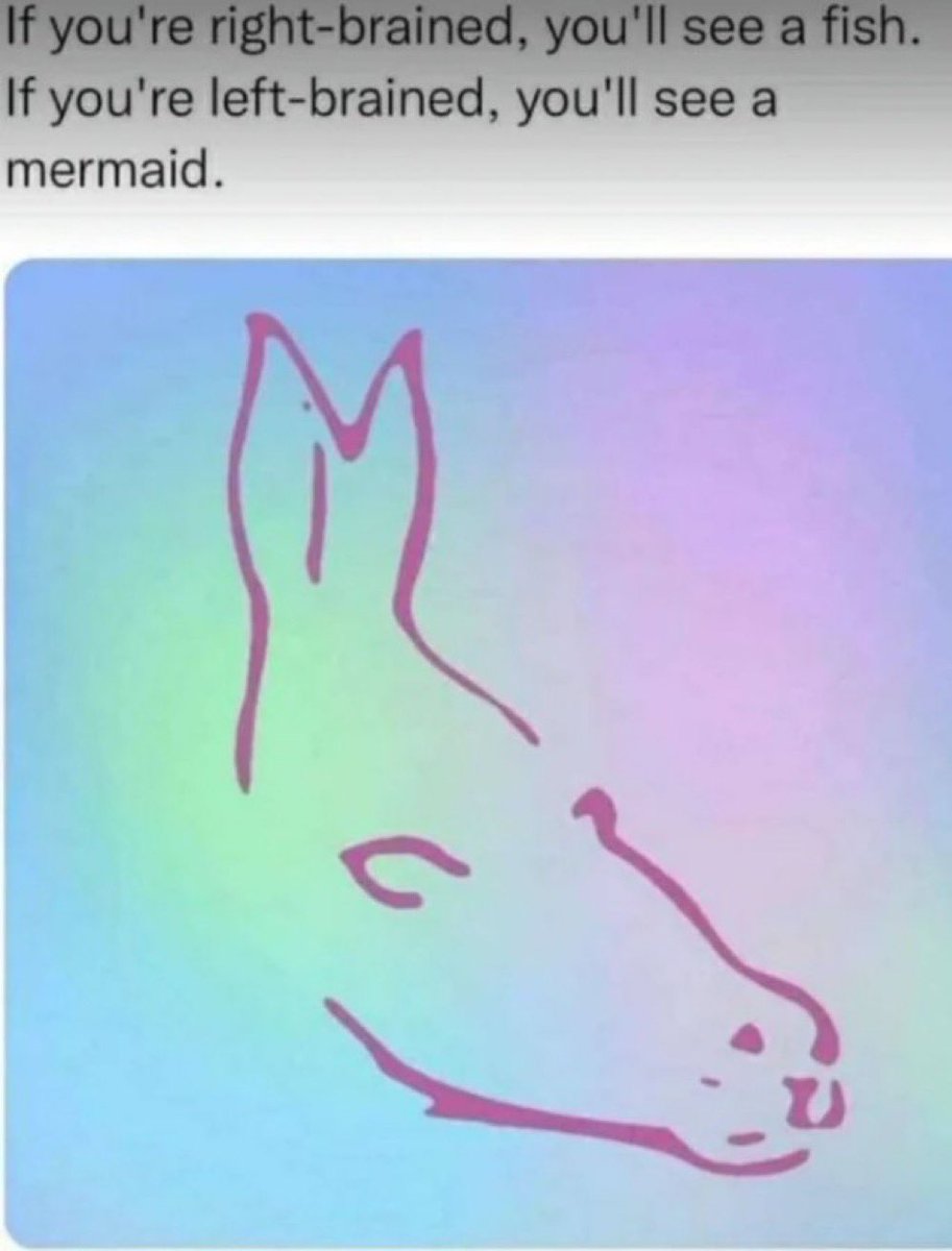 Whelp…. I see a donkey 😳😳