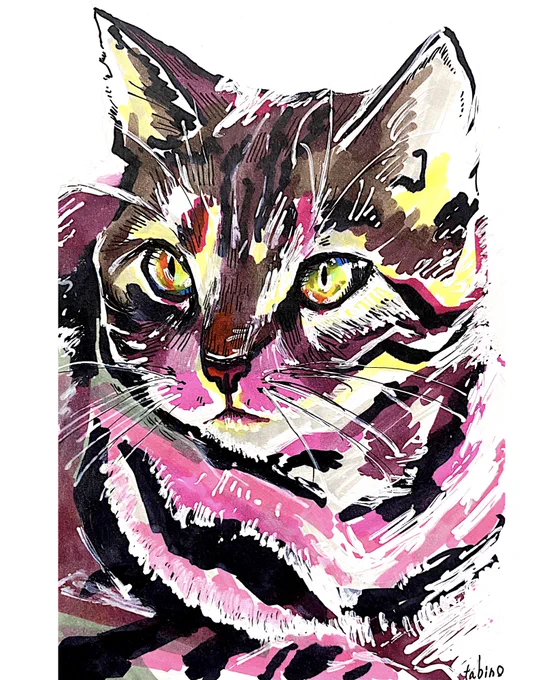 「路地裏の猫展」開催中です。tabino.は在廊は致しませんが、お近くの方や気になった方は是非。#路地裏の猫展 #猫イラスト #絵柄が好きっていう人にフォローされたい 