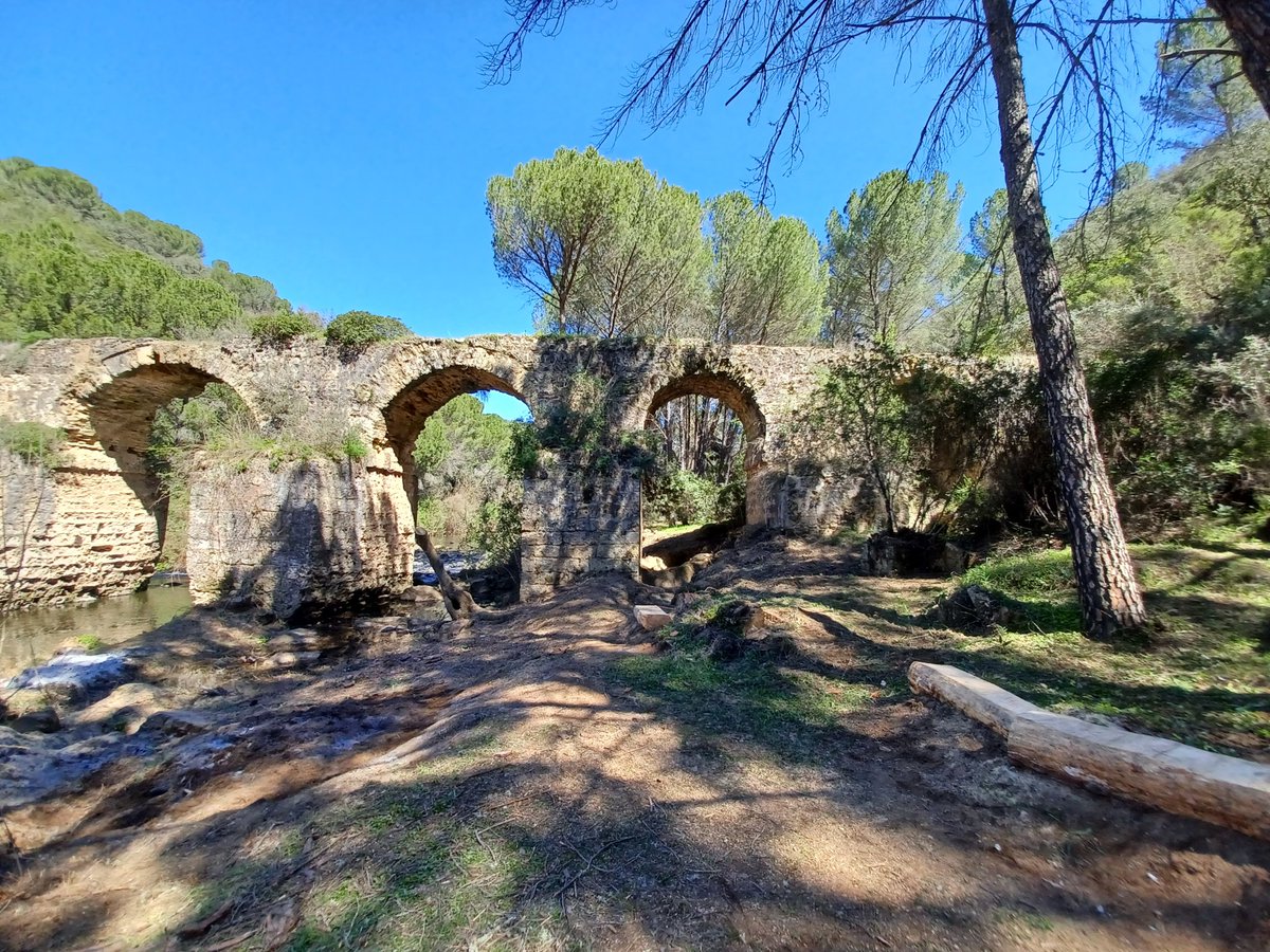 Otro año más realizamos trabajos de trepa, en este caso para cubrir las necesidades en materia de seguridad  tanto para  infraestructuras como para usuarios  de senderos y parques periurbanos.
💪<a href="/AngelGomezInfa1/">Angel Gomez Infante</a> <a href="/Rafa_Revuelta/">Revuelta</a> <a href="/Franferpu/">Francisco fernandez</a> <a href="/davidsantrin/">David Sanchez</a> 💪