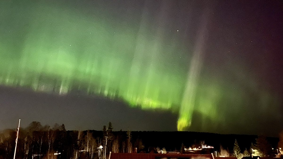 Seb_Patzke's tweet photo. A surprise fluorescence-treat last night 🤩 - guess who was hanging in his skylights… https://t.co/BFexGISiJY