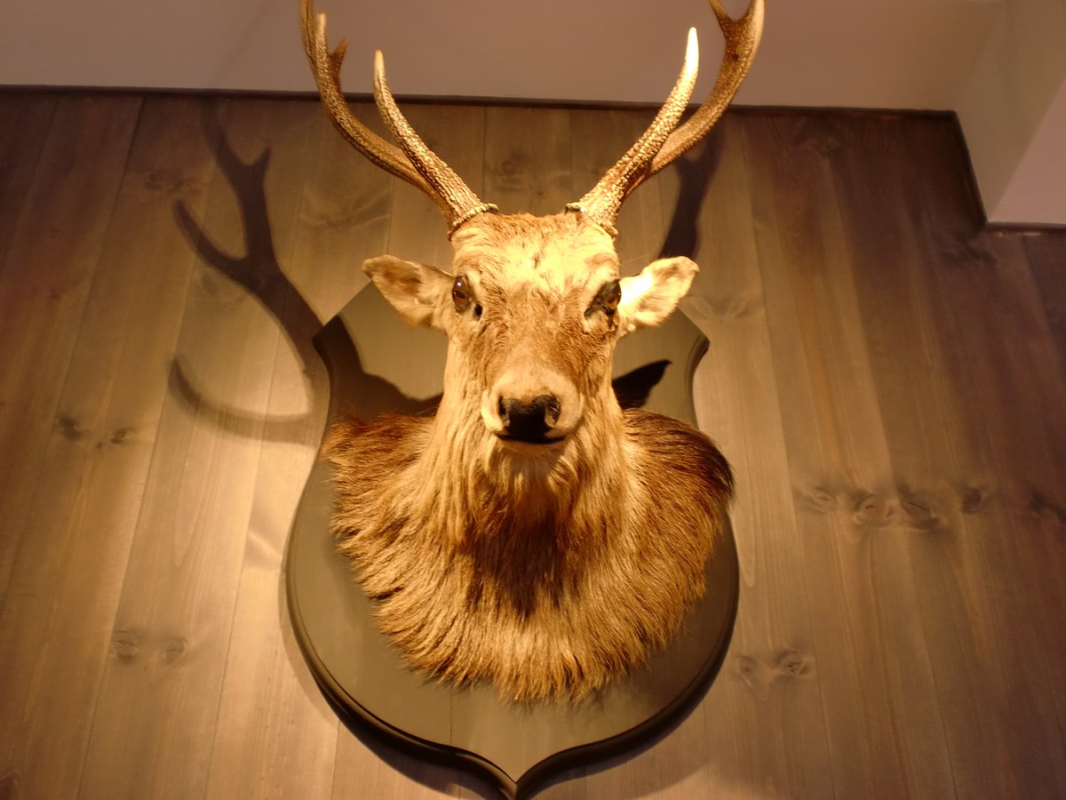 「TAW麻布十番プレミアムラガー」でググったが板橋のメーカーやんけ
そんなの「よなよなエール」(キリン工場)みたいなものやん