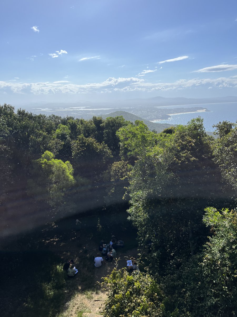 Mike Kinsela tweet media