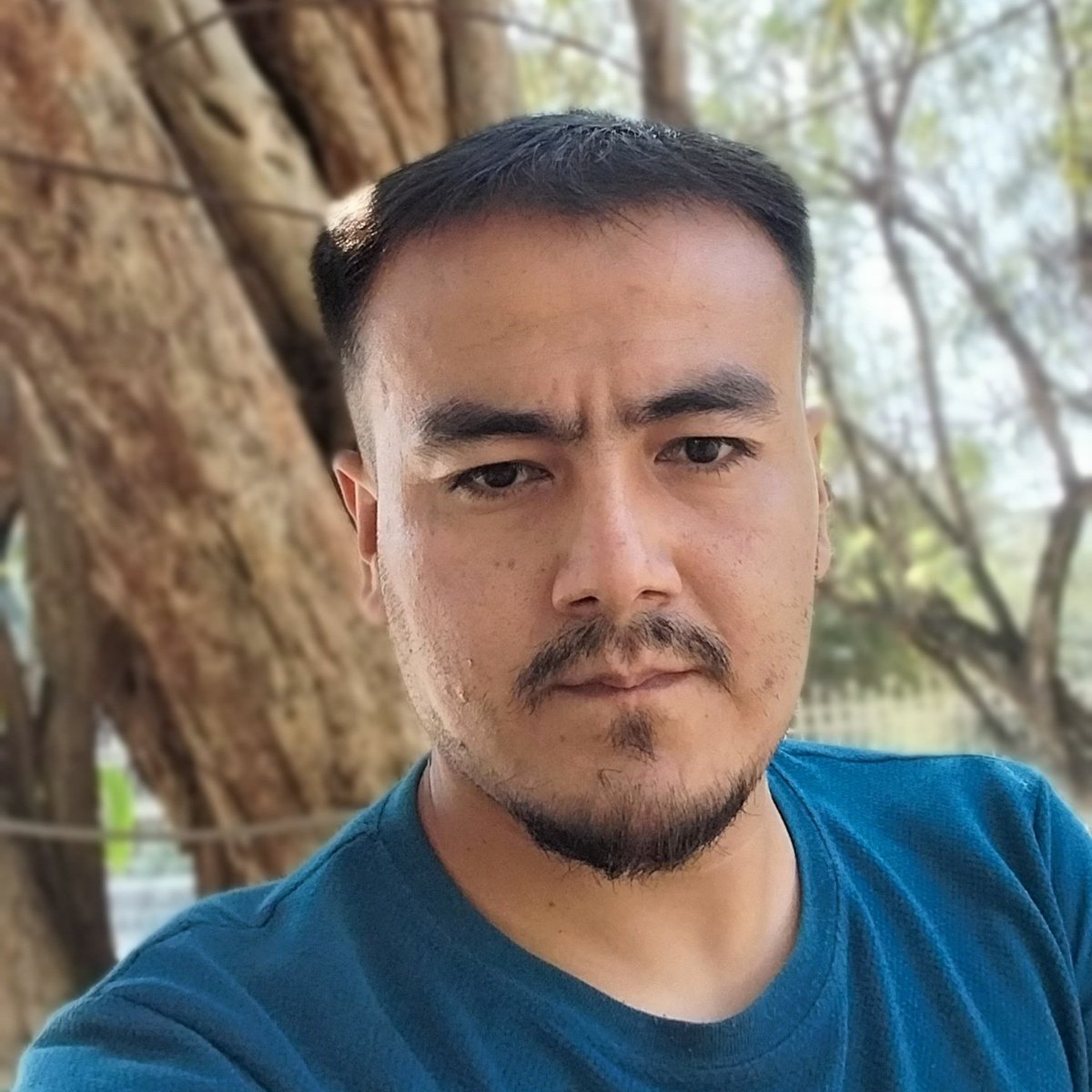 BatoorHamayoon's tweet photo. #NewProfilePic https://t.co/qCgn9jaCon