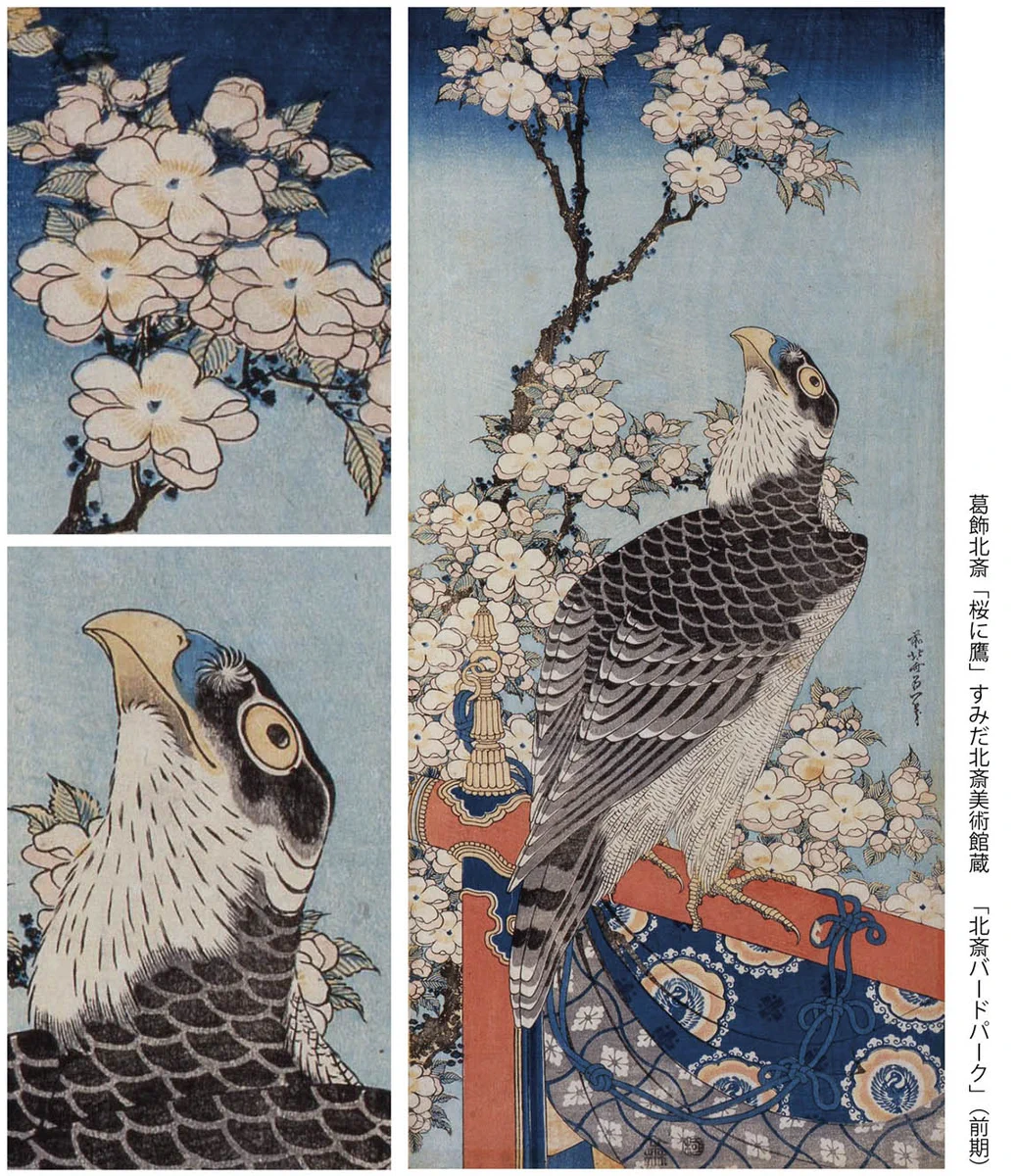 水墨画 鷹と小鳥 掛軸 すみだ北斎美術館 on X: 